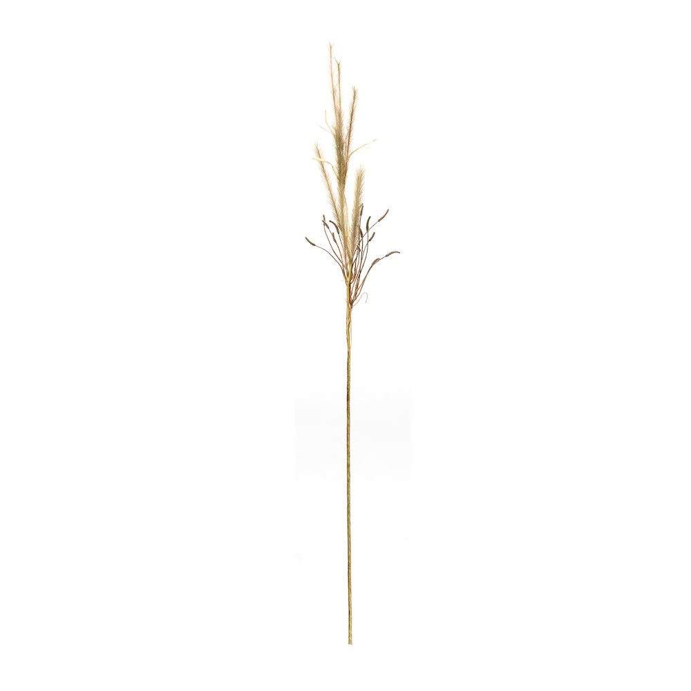 Fox Tail Stem (Set of 2) 47"H Polyester. Picture 2