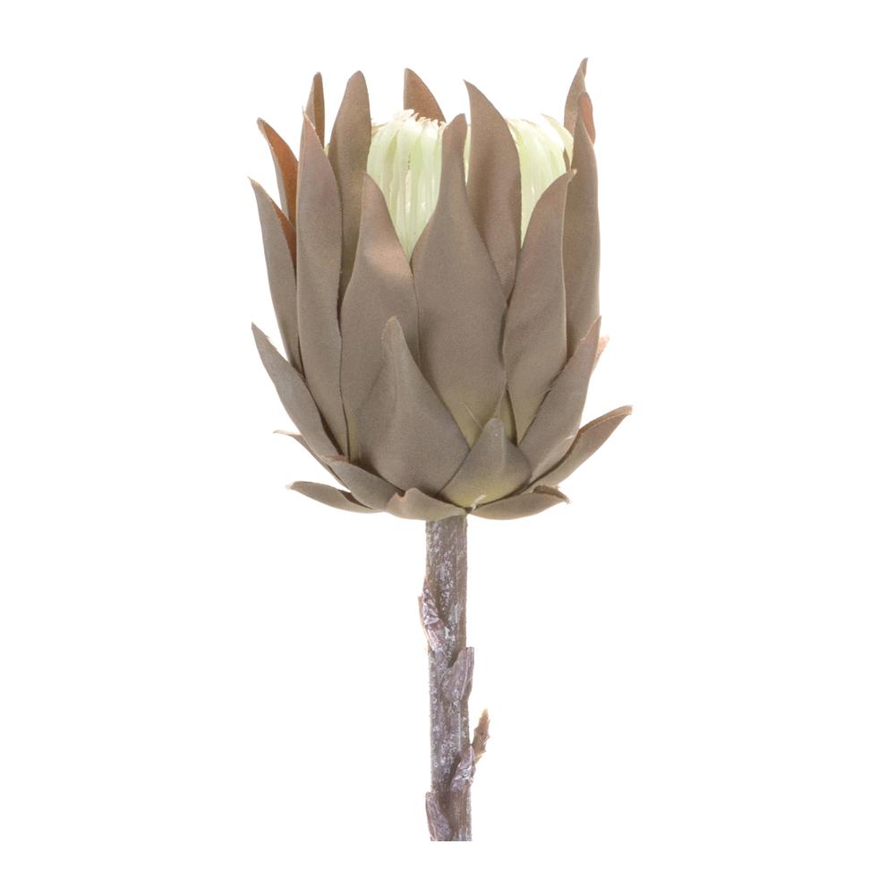 Protea Stem (Set of 6) 20"H Plastic. Picture 1