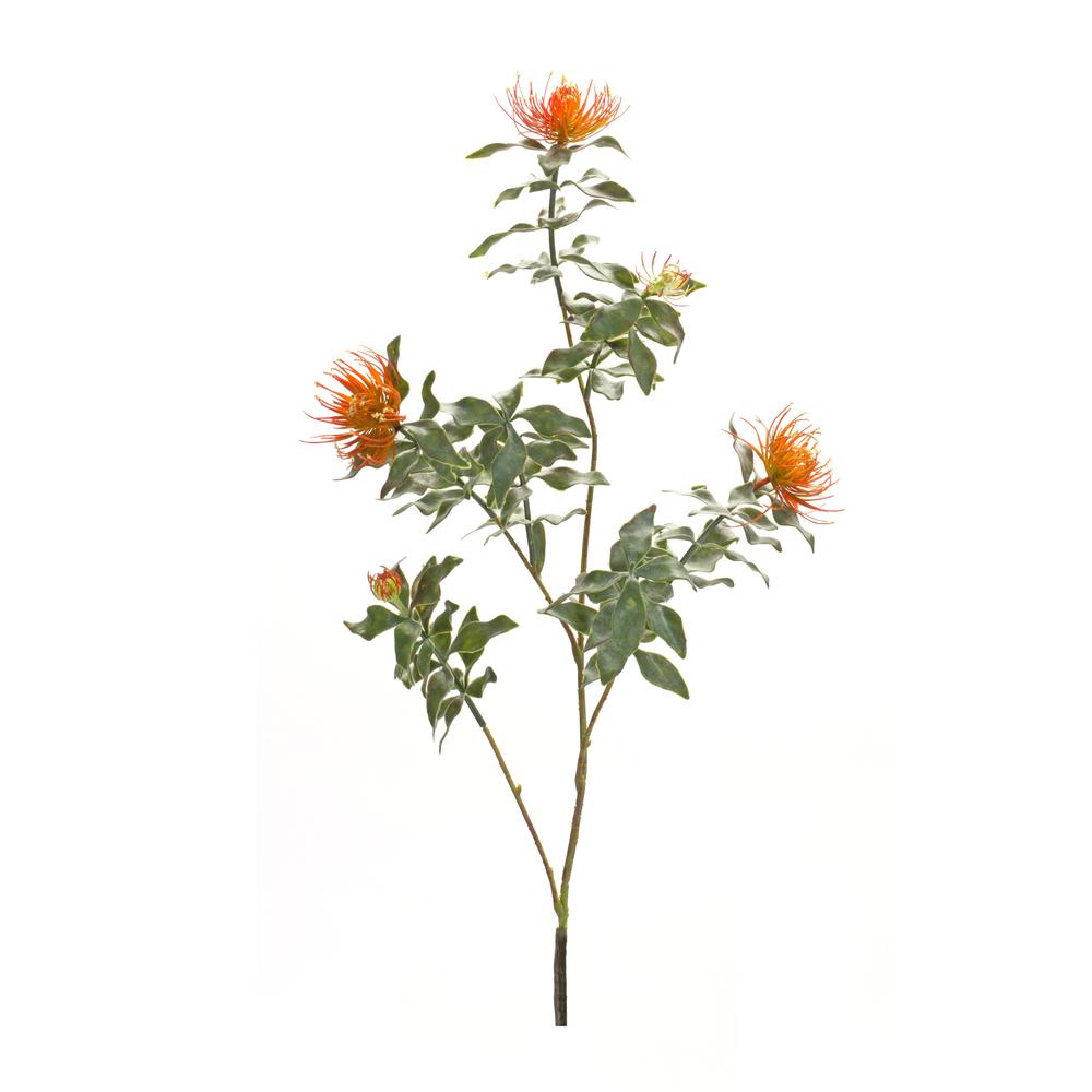 Protea Stem (Set of 6) 34.25"H Plastic/Flocking. Picture 1