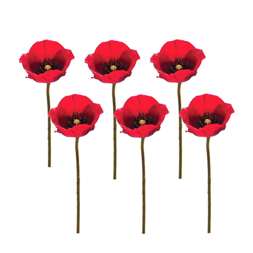 Poppy Spray (Set of 6) 26.5"H Polyester. Picture 1