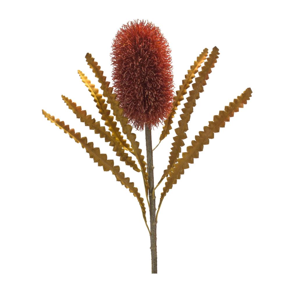 Banksia Stem (Set of 6) 24"H Plastic. Picture 1
