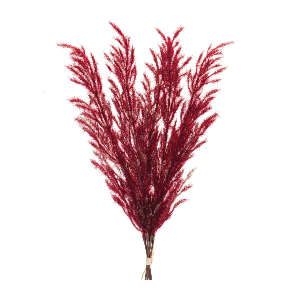 Plume Bundle (Set of 6) 31"H. Picture 1