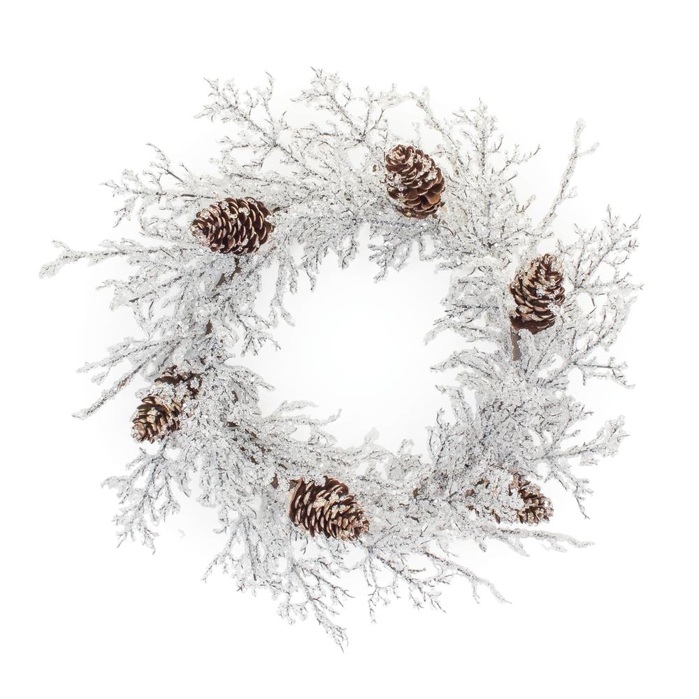 Ice Branch Wreath 24"D Plastic. Picture 1