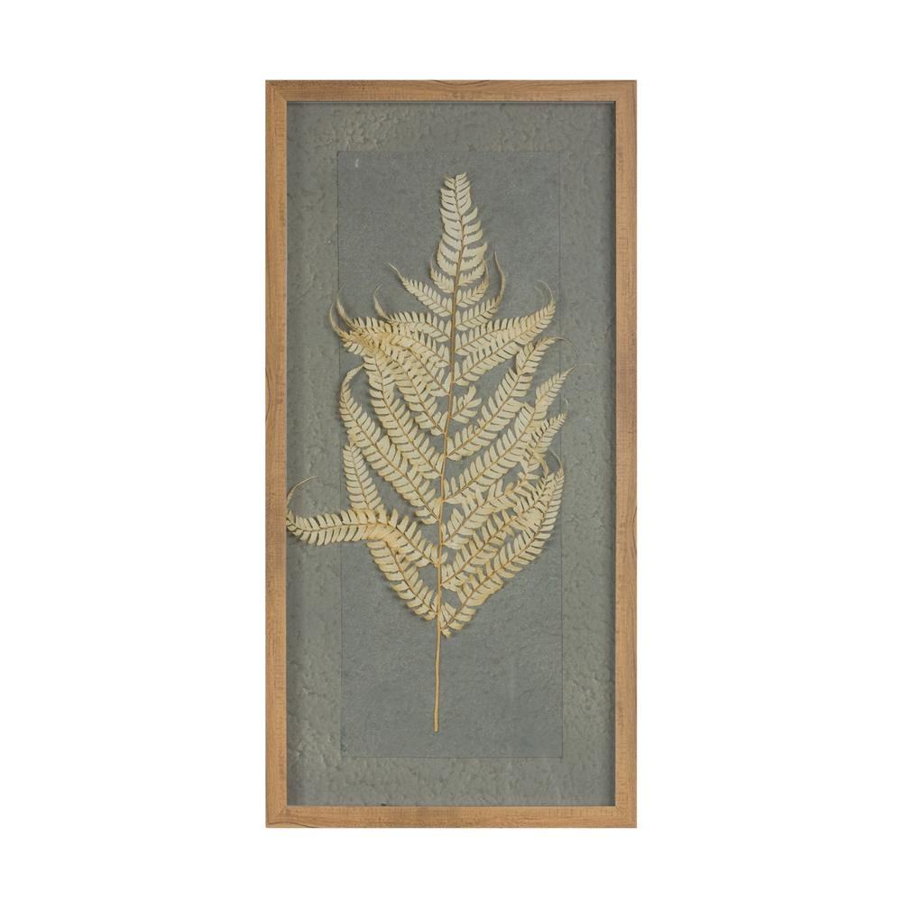 Framed Fern (Set of 2) 14"L x 27.5"H Wood/Paper. Picture 1
