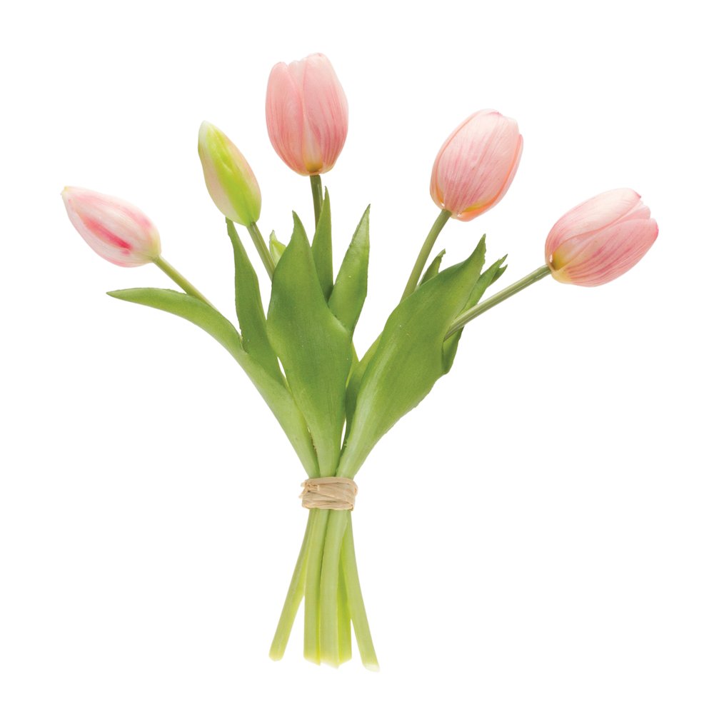 Tulip Bundle (Set of 2) 10.5"H Plastic. Picture 1