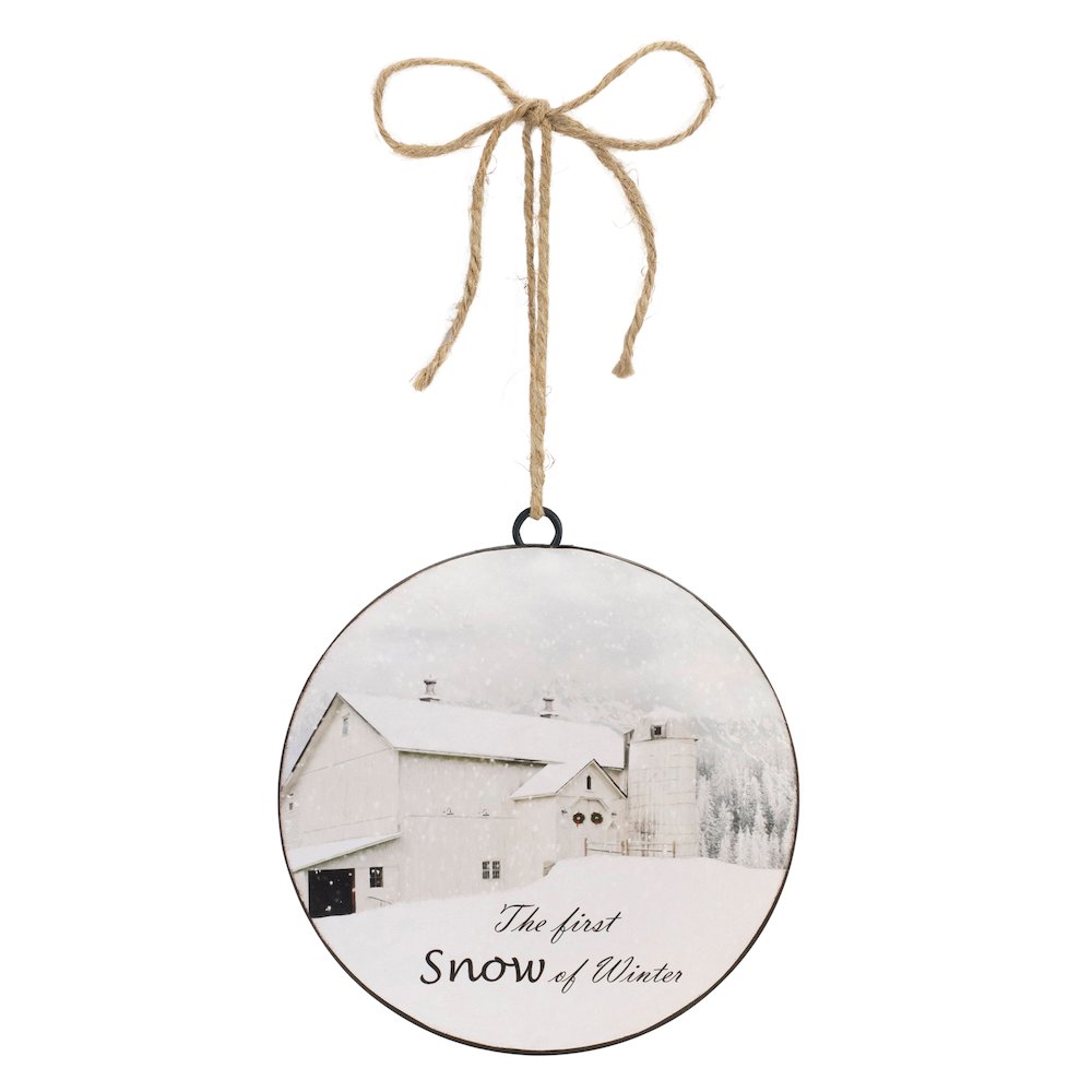 First Snow Disc Ornament (Set of 12) 6"H Iron. Picture 2