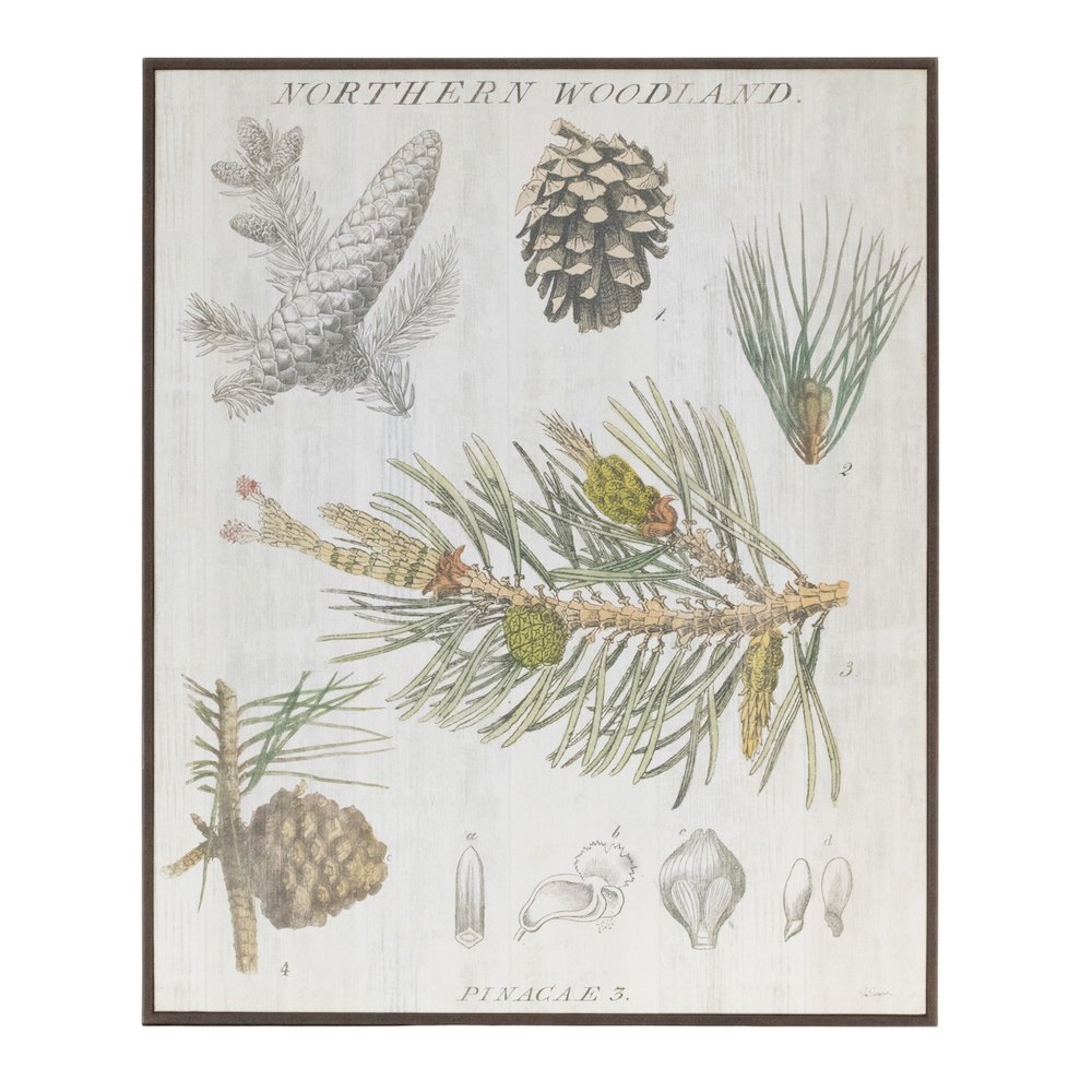Framed Pine Print 13"L x 15.5"H Plastic/Paper. Picture 1
