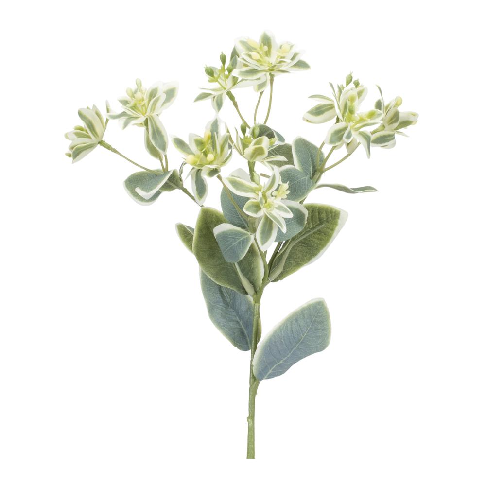 Euphorbia Spray (Set of 6) 18.5"H Polyester. Picture 1
