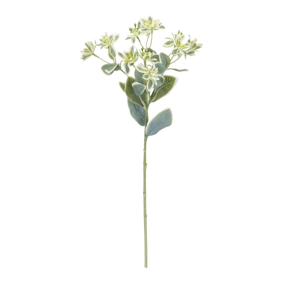 Euphorbia Spray (Set of 6) 18.5"H Polyester. Picture 2