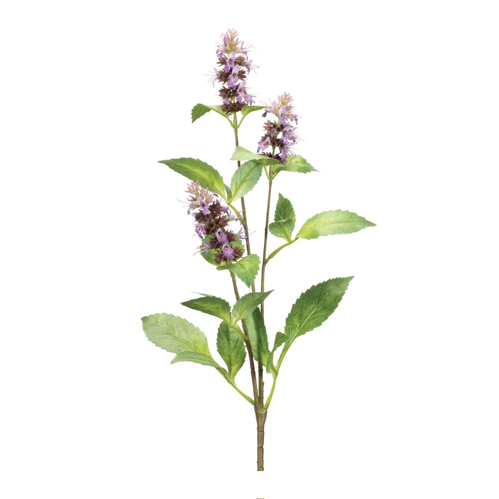 Buddleia Stem (Set of 6) 29"H Polyester. Picture 1