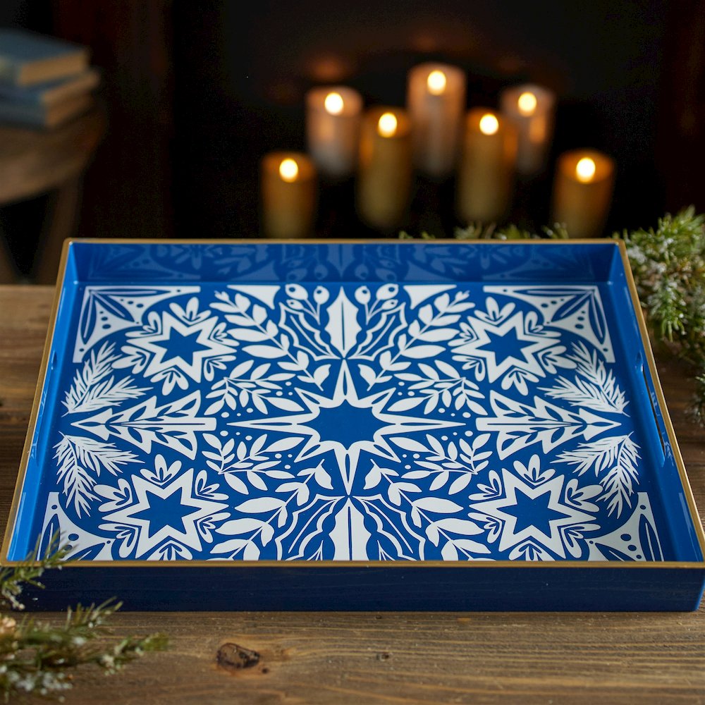 North Star Print Tray 15.75"L. Picture 3