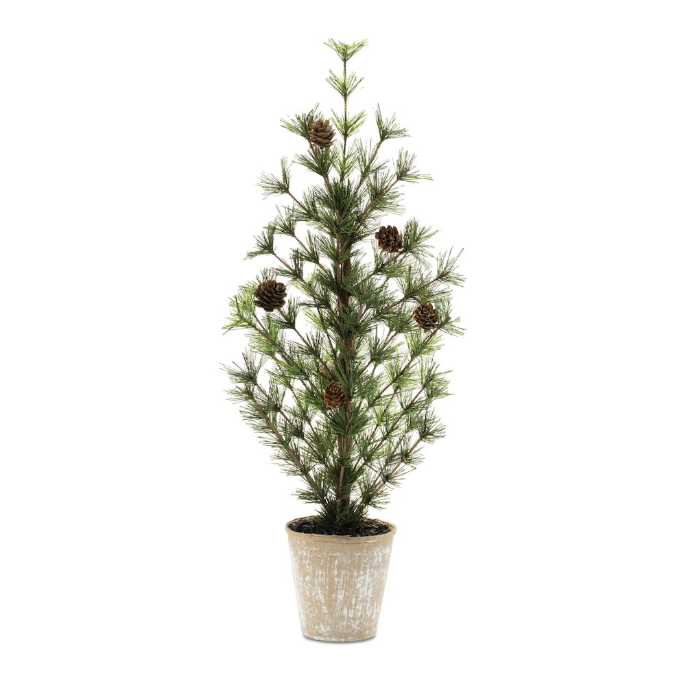 Potted Mini Pine Tree 24"H. Picture 1