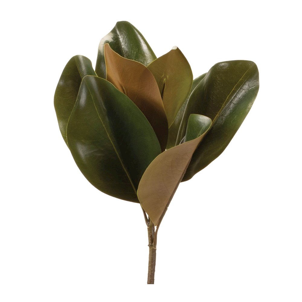 Magnolia Leaf Spray (Set of 6). Picture 1