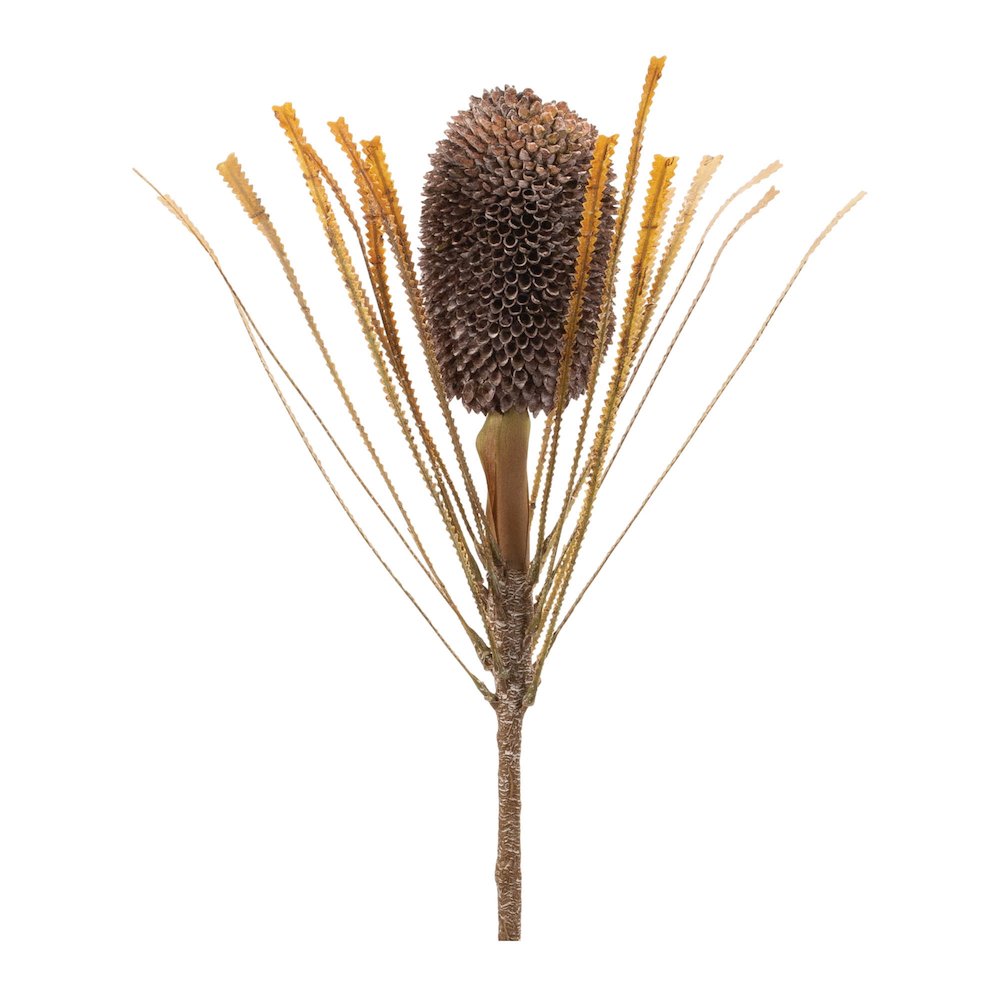Fall Banksia Pod Stem (Set of 2). Picture 1