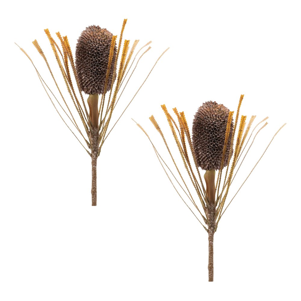 Fall Banksia Pod Stem (Set of 2). Picture 3