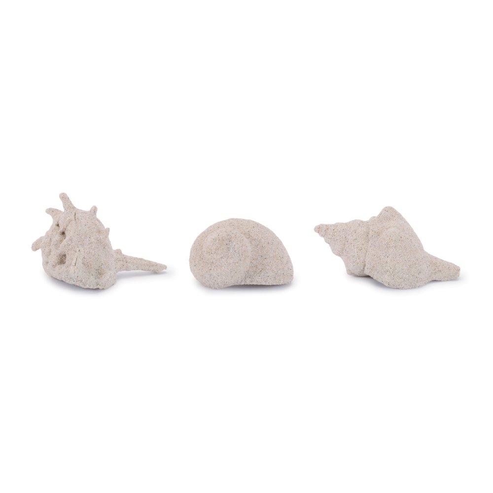 Sea Shell Filler Decor (Set of 12). Picture 1