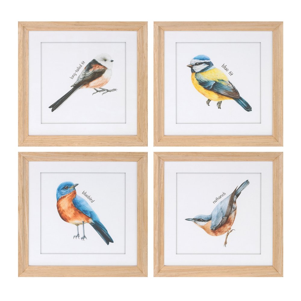 Framed Bird Print Under Glass (Set of 8). Picture 1