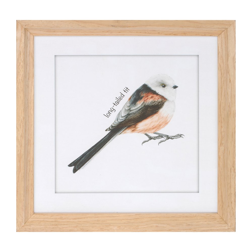 Framed Bird Print Under Glass (Set of 8). Picture 2
