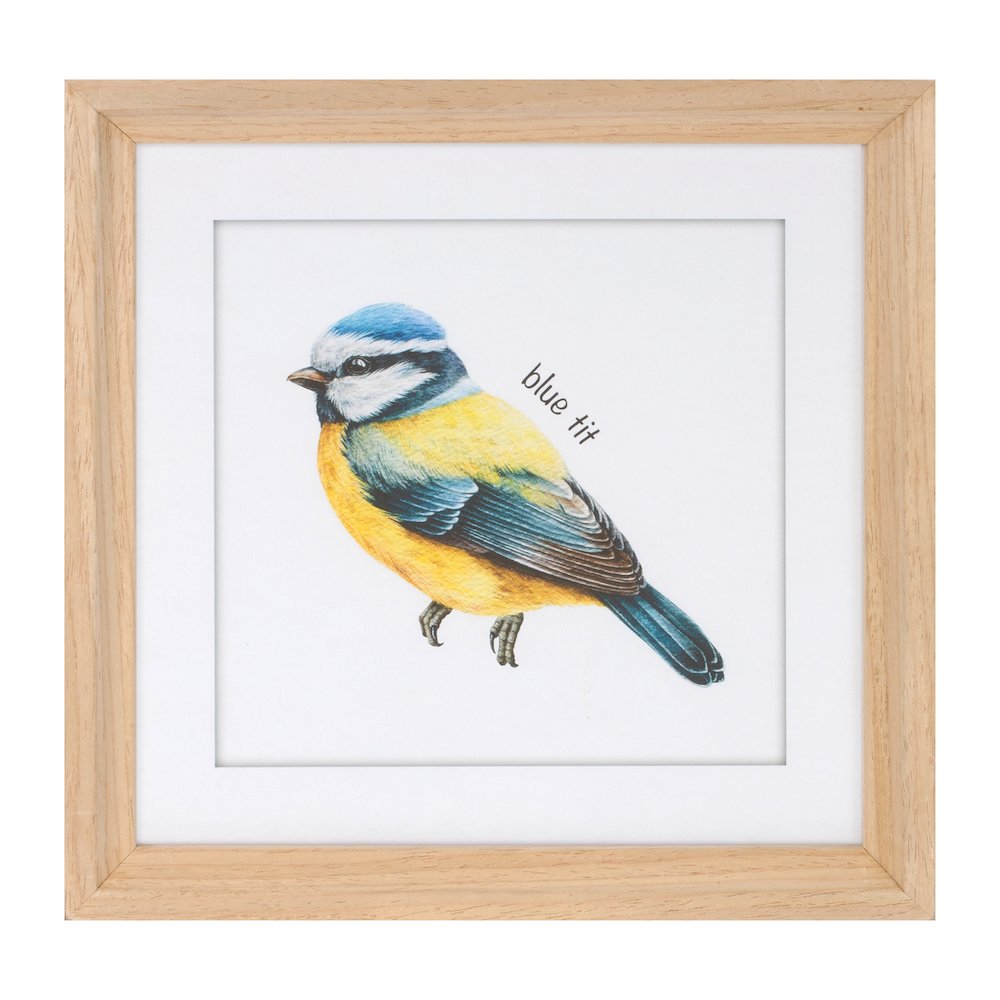 Framed Bird Print Under Glass (Set of 8). Picture 3