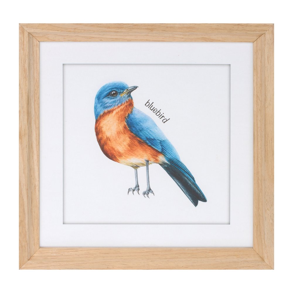 Framed Bird Print Under Glass (Set of 8). Picture 4