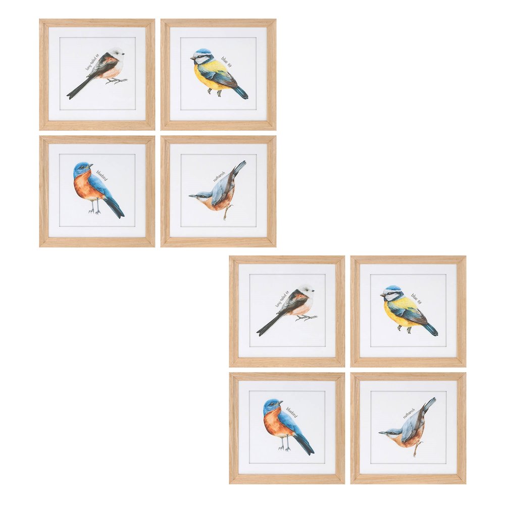 Framed Bird Print Under Glass (Set of 8). Picture 6