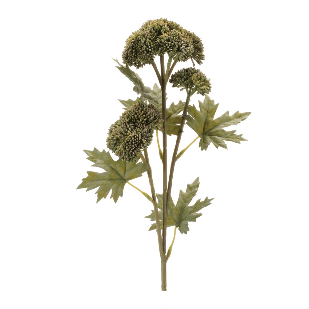 Sedum Succulent Spray (Set of 6). Picture 1
