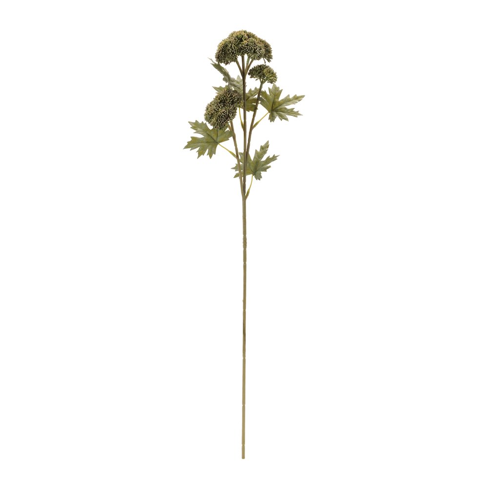 Sedum Succulent Spray (Set of 6). Picture 2