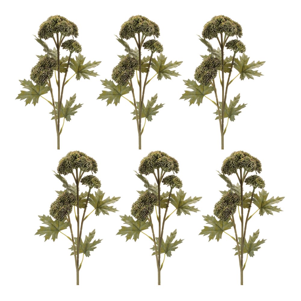 Sedum Succulent Spray (Set of 6). Picture 3