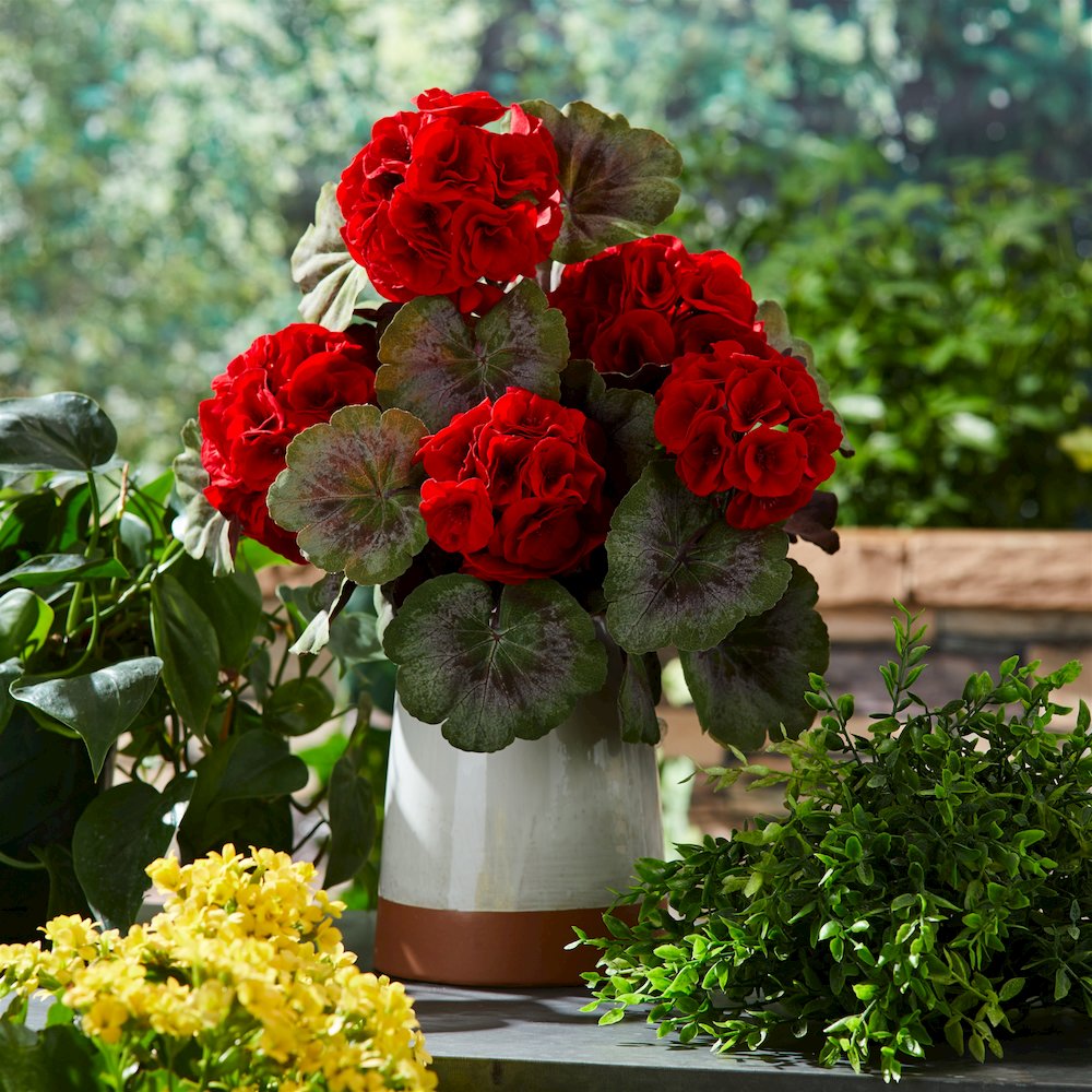 Geranium Floral Bush (Set of 2). Picture 2