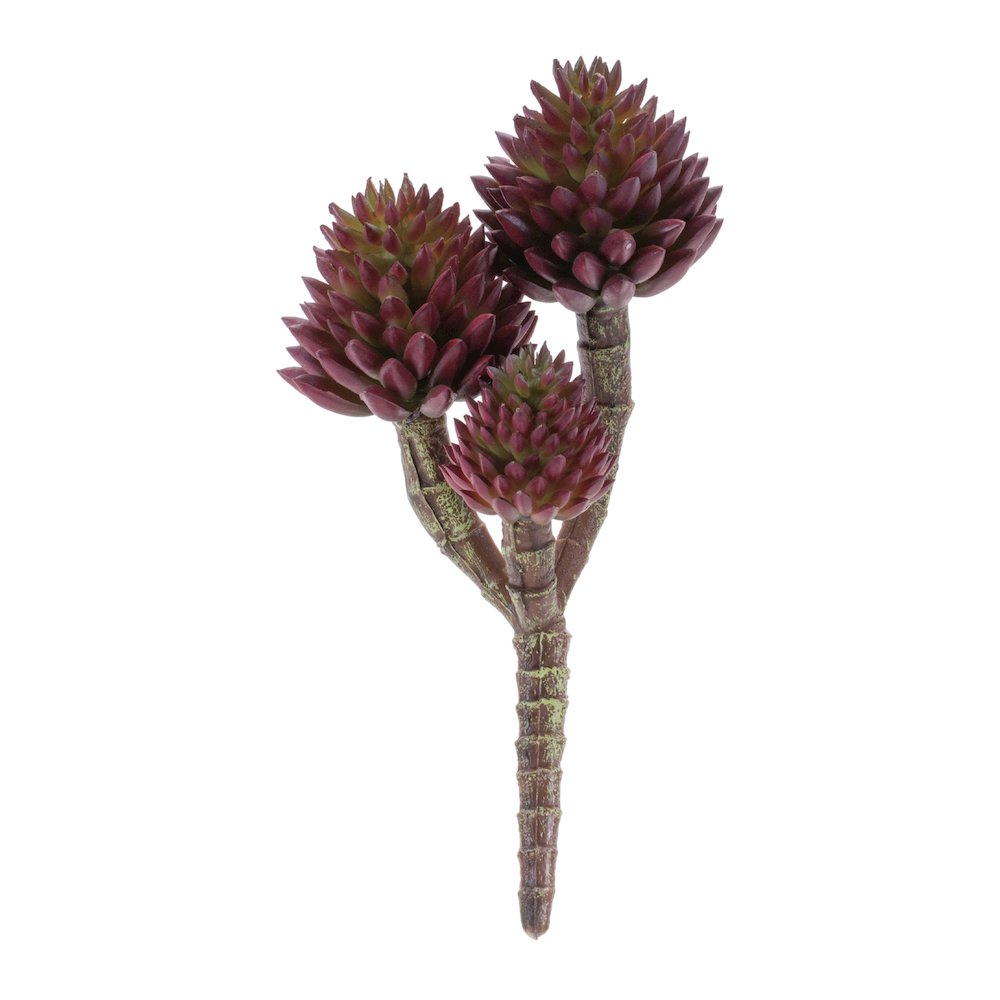 Succulent Plant Pick (Set of 6). Picture 1