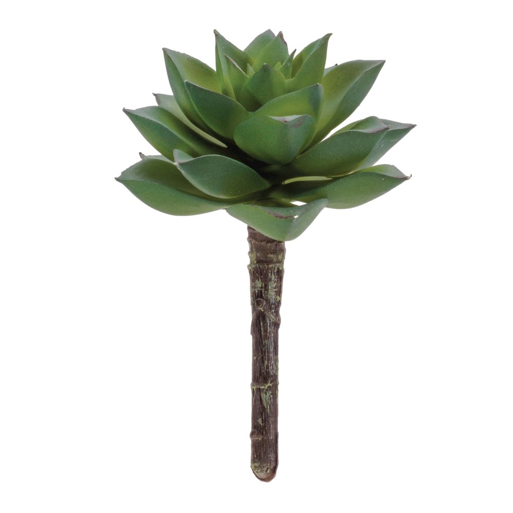 Succulent Plant Pick (Set of 12). Picture 1