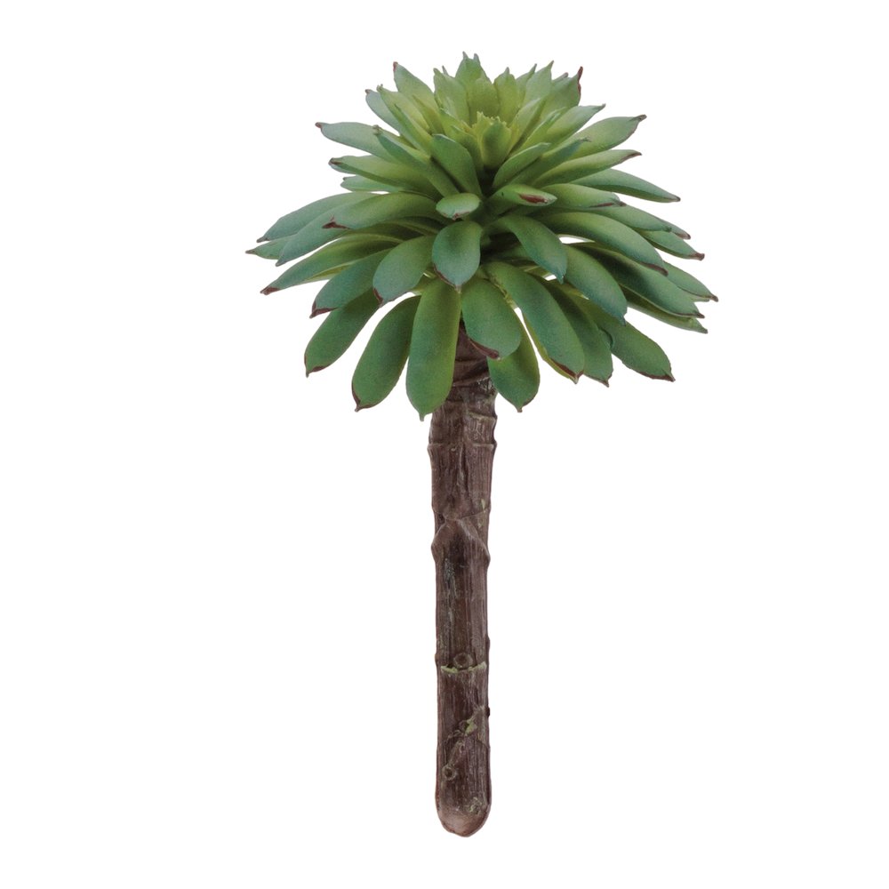 Succulent Plant Pick (Set of 12). Picture 1
