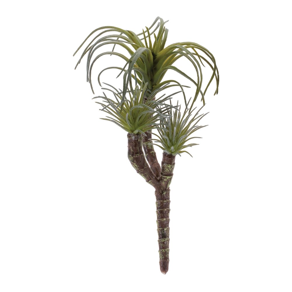 Air Plant Succulent Pick (Set of 6). Picture 1