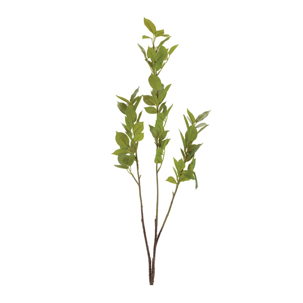 Leaf Foliage Branch (Set of 6). Picture 1