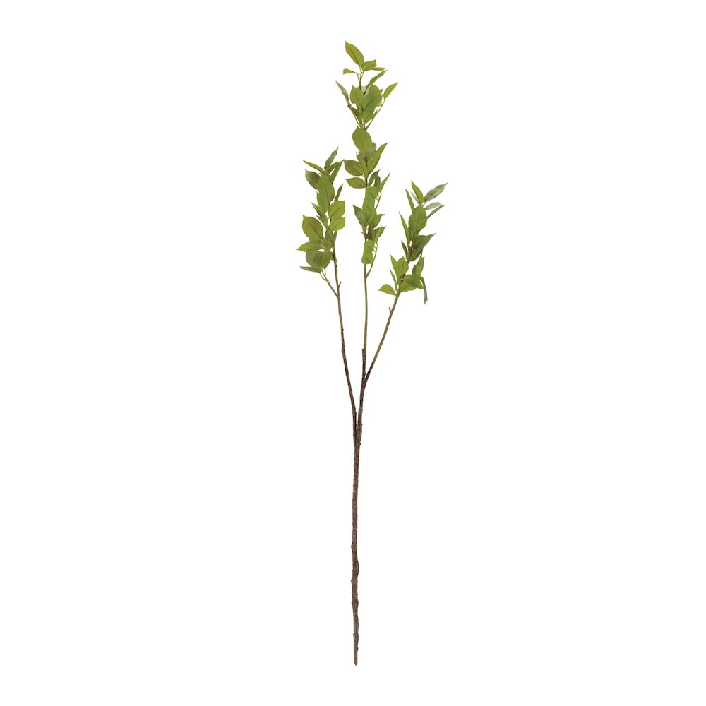 Leaf Foliage Branch (Set of 6). Picture 2