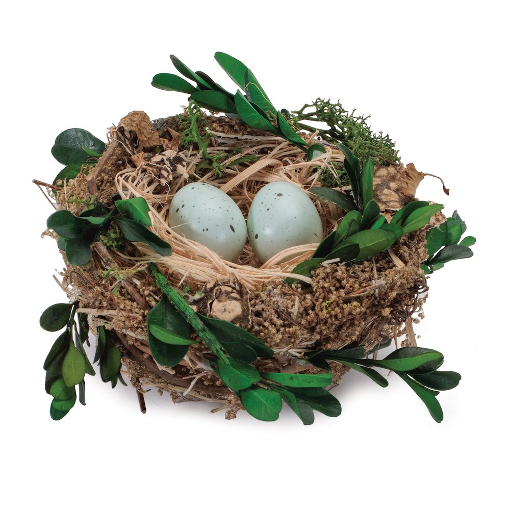 Twig Bird Nest with Eggs and Boxwood Foliage (Set of 12). Picture 1