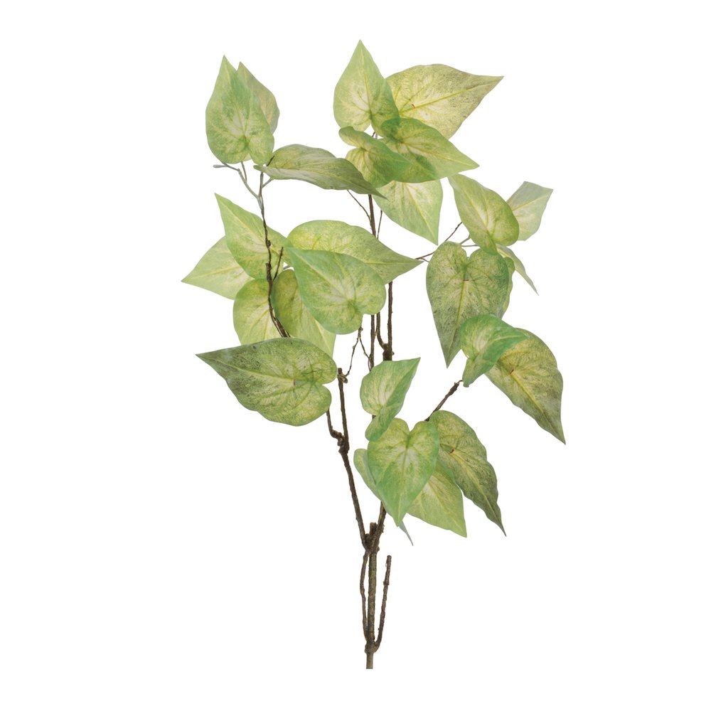Anthurium Leaf Branch (Set of 4). Picture 1