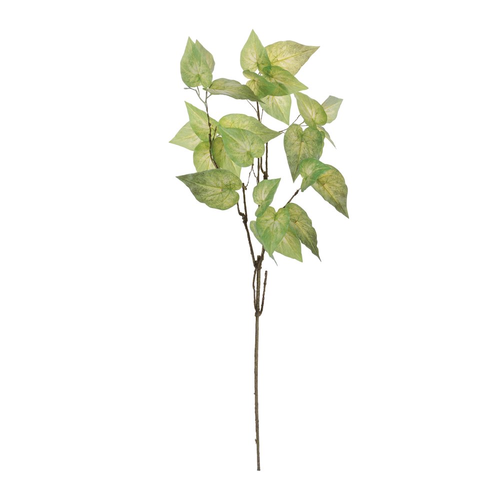 Anthurium Leaf Branch (Set of 4). Picture 2