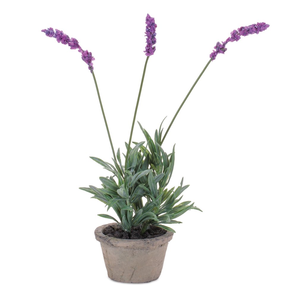Potted Lavender 14.5"H. Picture 1