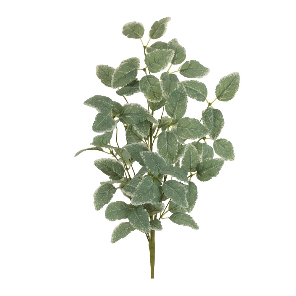 Variegated Foliage Spray (Set of 2). Picture 1