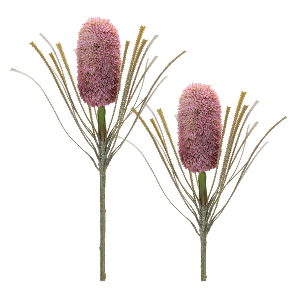 Protea Floral Stem (Set of 2). Picture 1