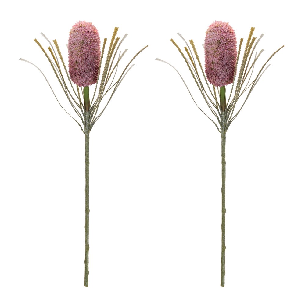 Protea Floral Stem (Set of 2). Picture 2