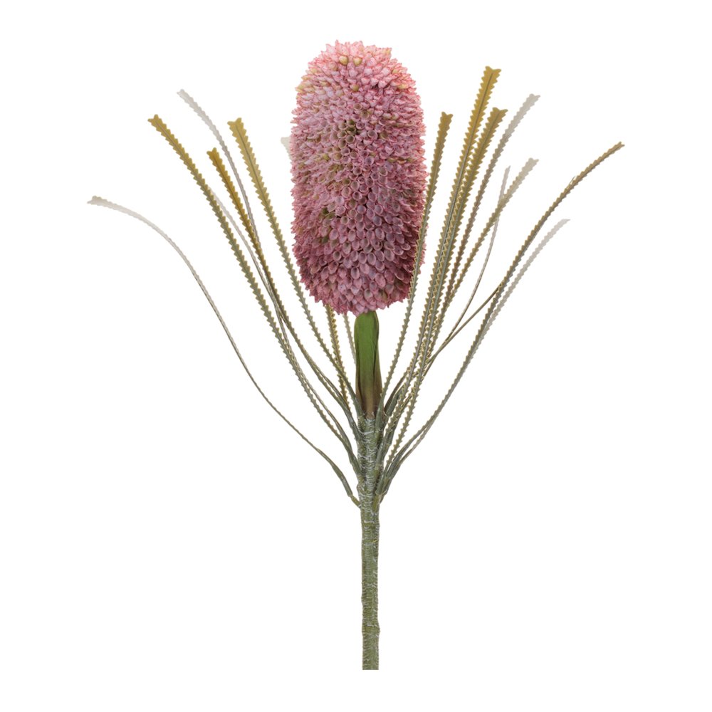 Protea Floral Stem (Set of 2). Picture 3