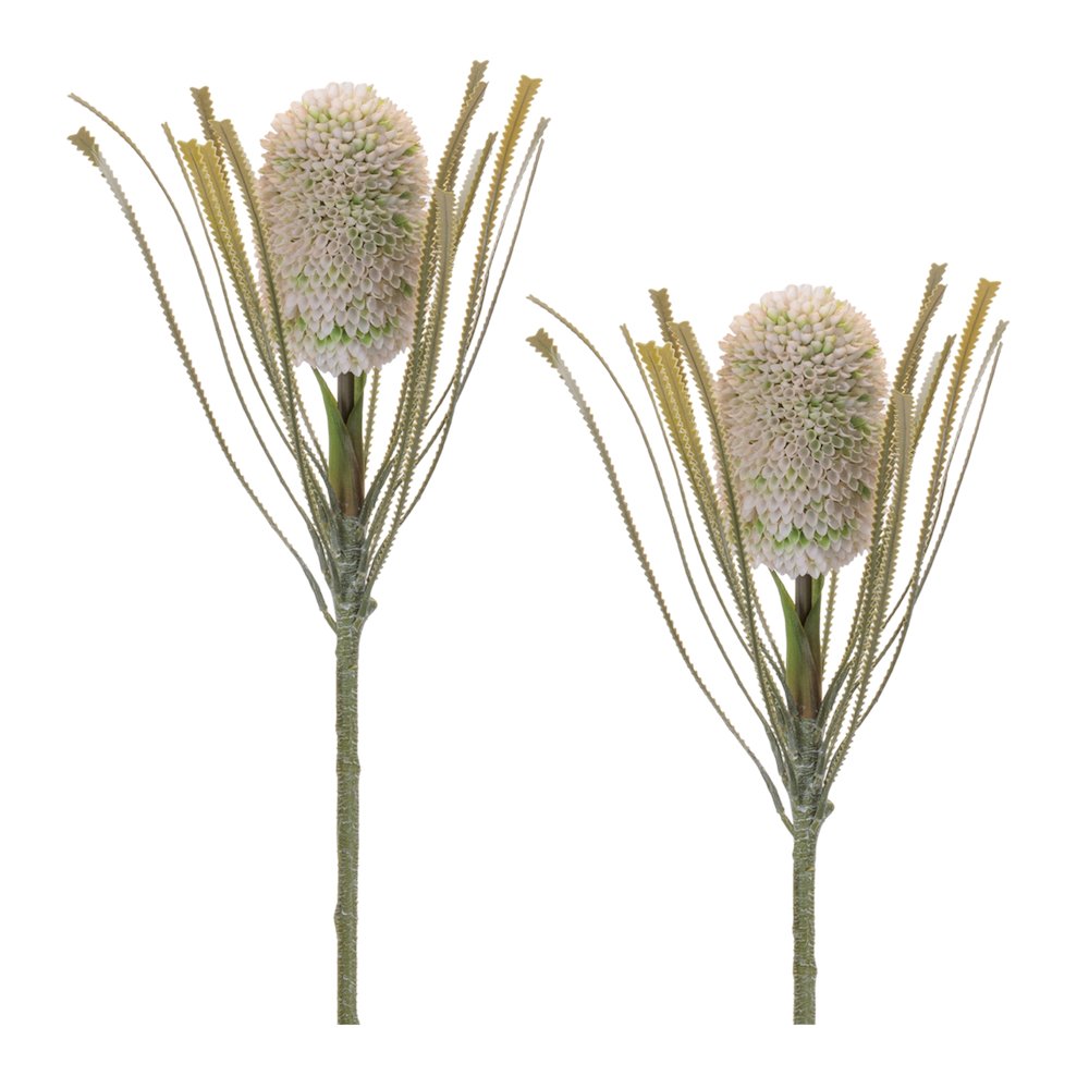 Protea Floral Stem (Set of 2). Picture 1