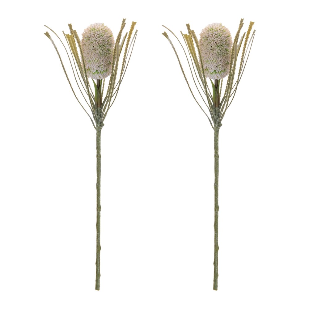 Protea Floral Stem (Set of 2). Picture 2