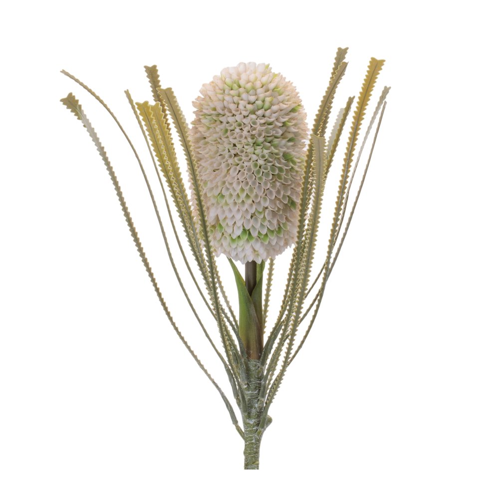 Protea Floral Stem (Set of 2). Picture 3