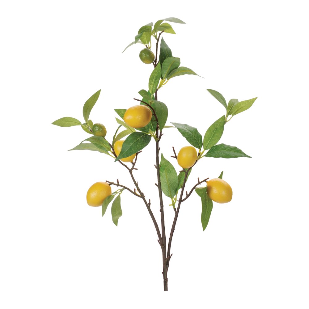 Lemon Fruit Foliage Branch (Set of 6). Picture 1