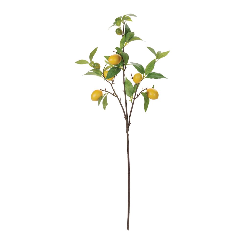 Lemon Fruit Foliage Branch (Set of 6). Picture 3
