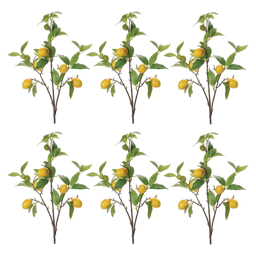 Lemon Fruit Foliage Branch (Set of 6). Picture 5