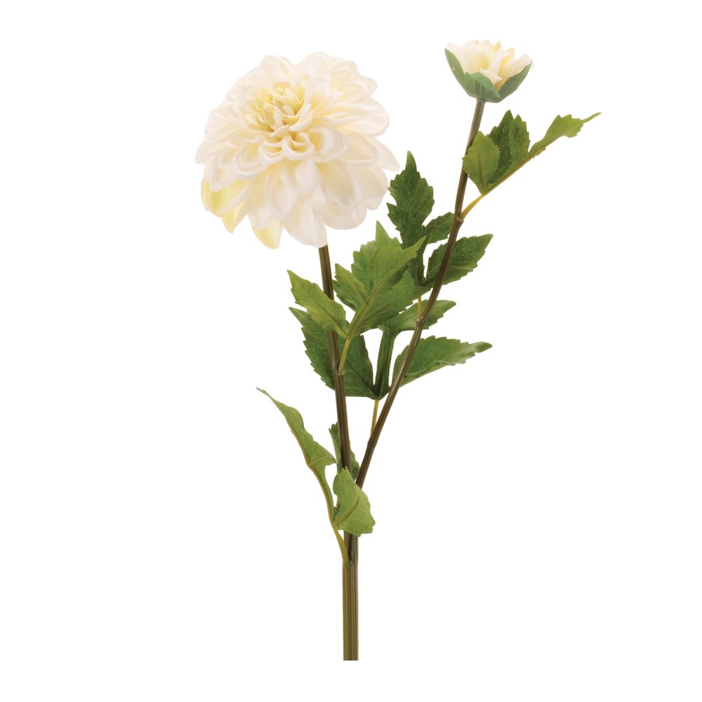 Dahlia Flower Stem (Set of 6). Picture 1